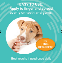 Nootie | Antimicrobial Dental Gel