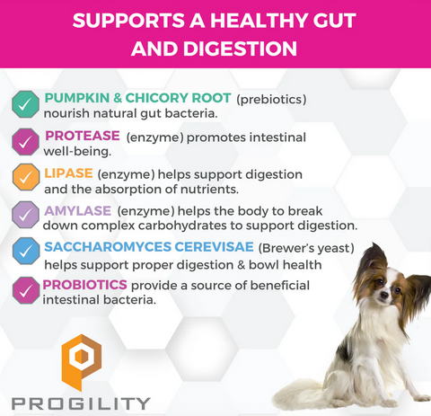 Nootie | Progility | Mini Pre & Probiotic Soft Chew 60ct