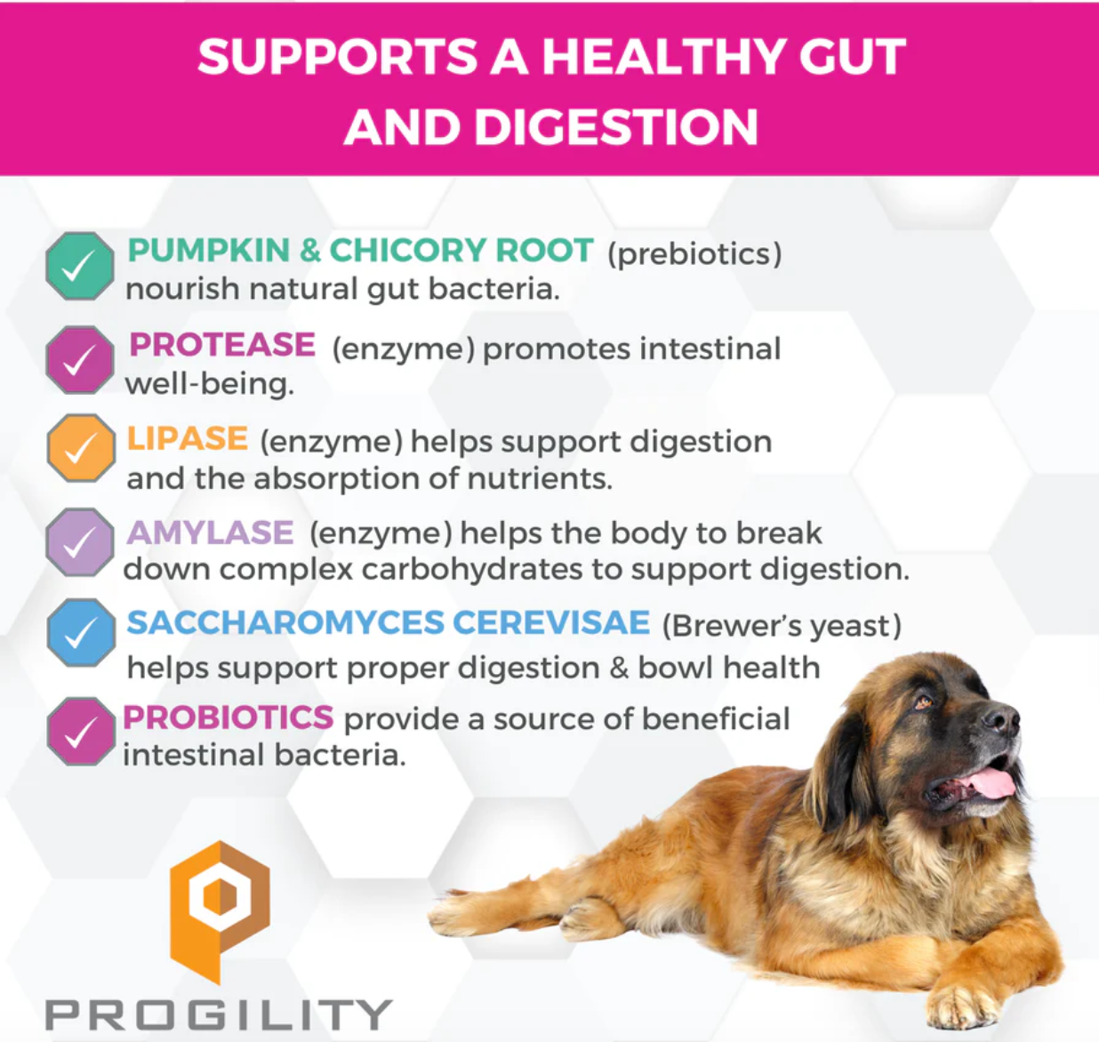 Nootie | Progility | Pre & Probiotic Soft Chew 90ct