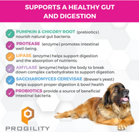 Nootie | Progility | Pre & Probiotic Soft Chew 90ct