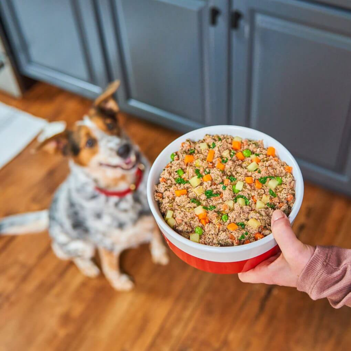 Stella & Chewy | Freshmade | Beefy-licious