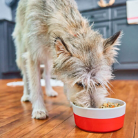 Stella & Chewy | Freshmade | Turkey