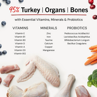 Stella & Chewy | Freeze-Dried | Turkey