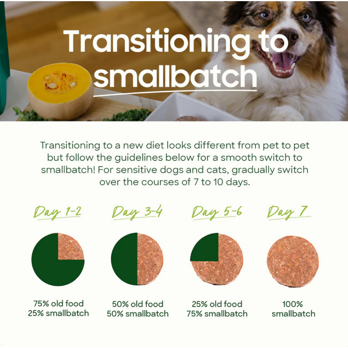 Small Batch | Cat | FD Turkey Meal Bites
