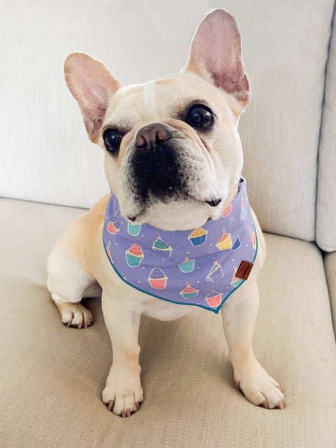 Lavender Pupcakes Pet Bandana