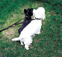 EzyDog | Soft Touch Coupler