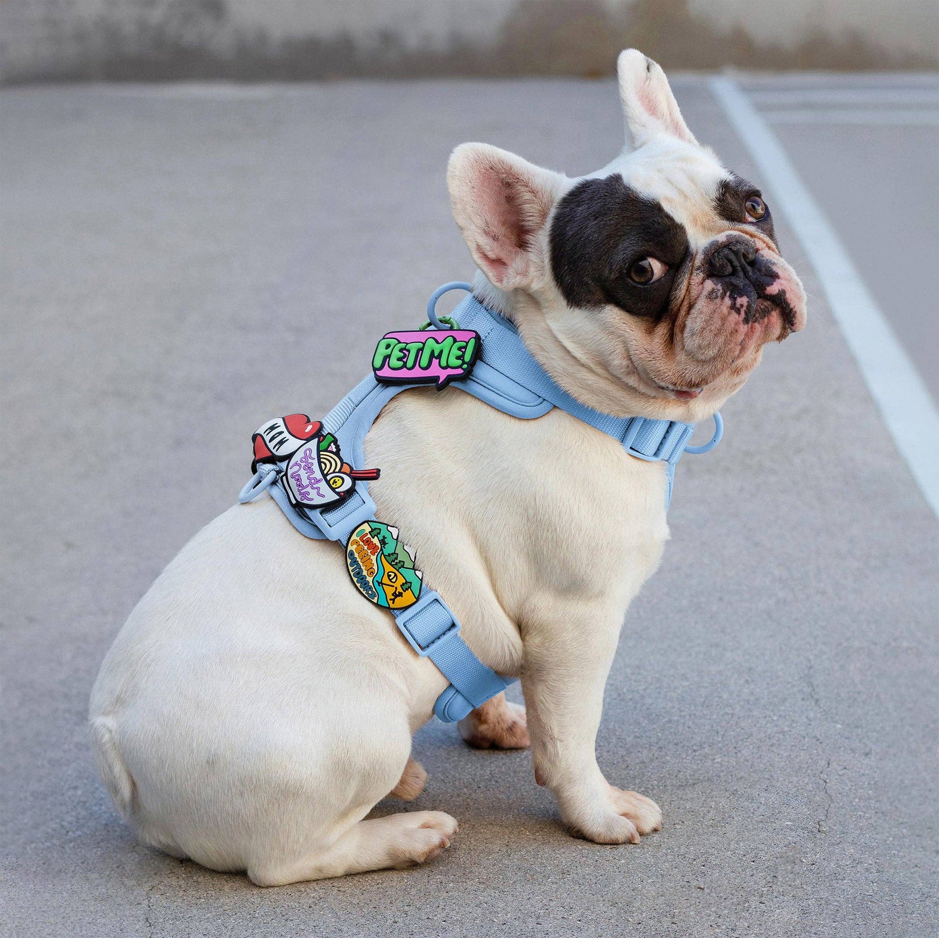 Jiby Dog Crew Pet Me Jiby Dog Charm shown from an alternate angle highlighting its decorative details.
