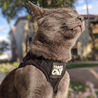 Travel Cat | Harness | True Adventurer Harness & Leash