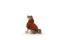 Rust Sherpa Dog Hoodie