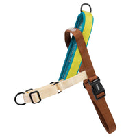 Avocado | SofterWalk Harness