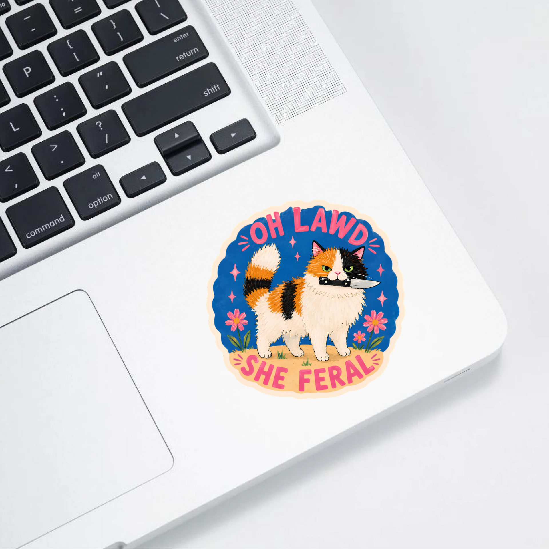 Lifestyle shot of the Oh Lawd She Feral Cat sticker by inviting affairs paperie displayed on a surface.