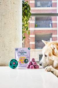Woof | Treat Mix | Calming