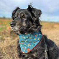 Mushroom Pet Bandana