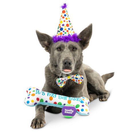 Huxley & Kent Happy Barkday Celebration Box contents displayed showing colorful party toys and festive birthday accessories.