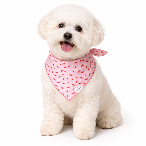 Close-up detail of rufflifepals Chili Bandana showing vibrant red chili pepper pattern on polyester fabric.
