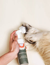 Dandylion | Clean Paws Foaming Cleanser