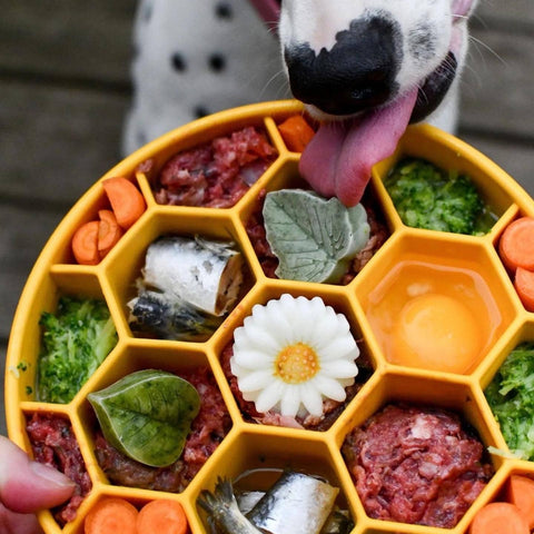 SodaPup - Honeycomb Design eBowl Enrichment Slow Feeder Bowl for Dogs