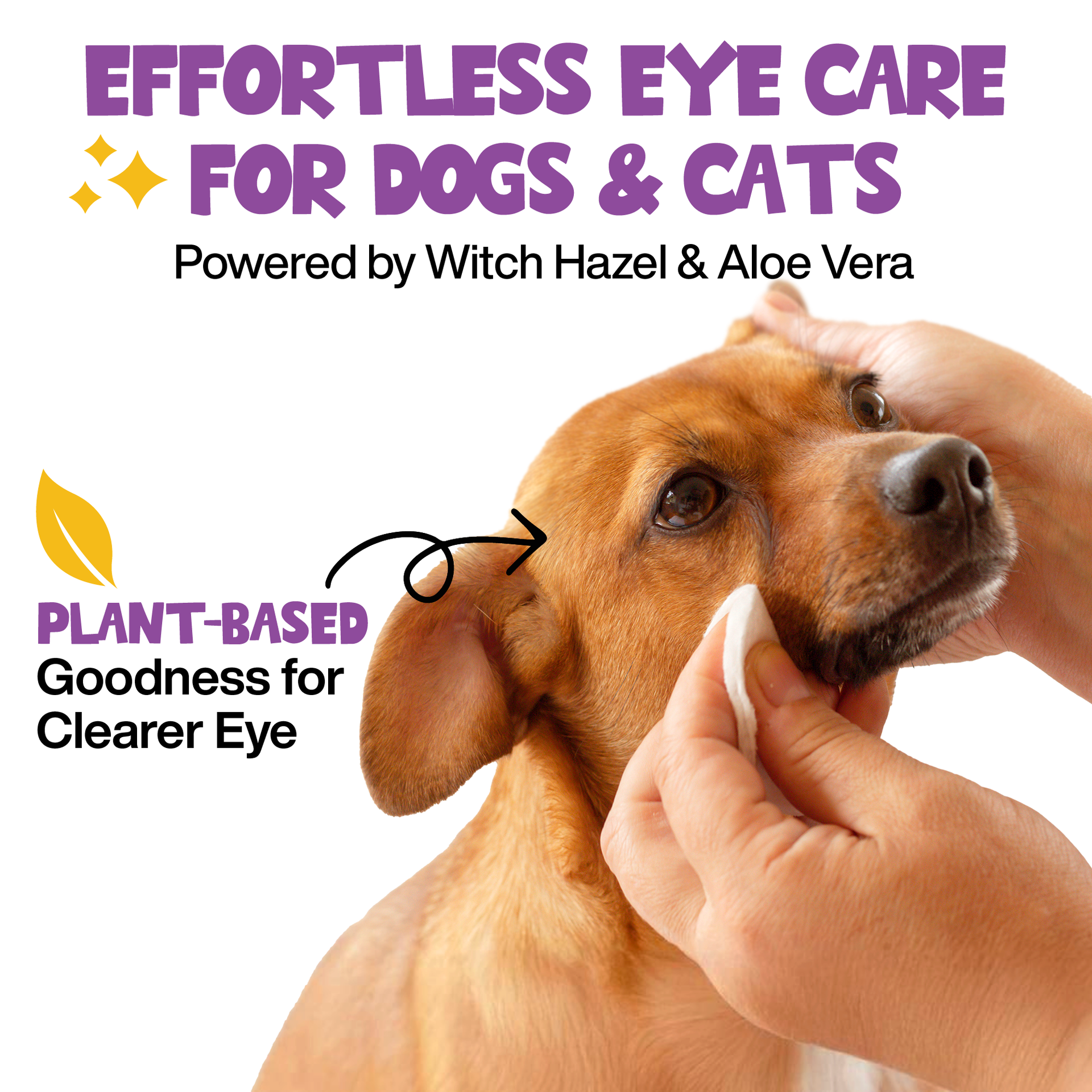 Close-up view of Roofus Dog Eye Wipes packaging showing 100-count label and product details