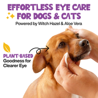 Close-up view of Roofus Dog Eye Wipes packaging showing 100-count label and product details