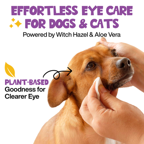 Close-up view of Roofus Dog Eye Wipes packaging showing 100-count label and product details
