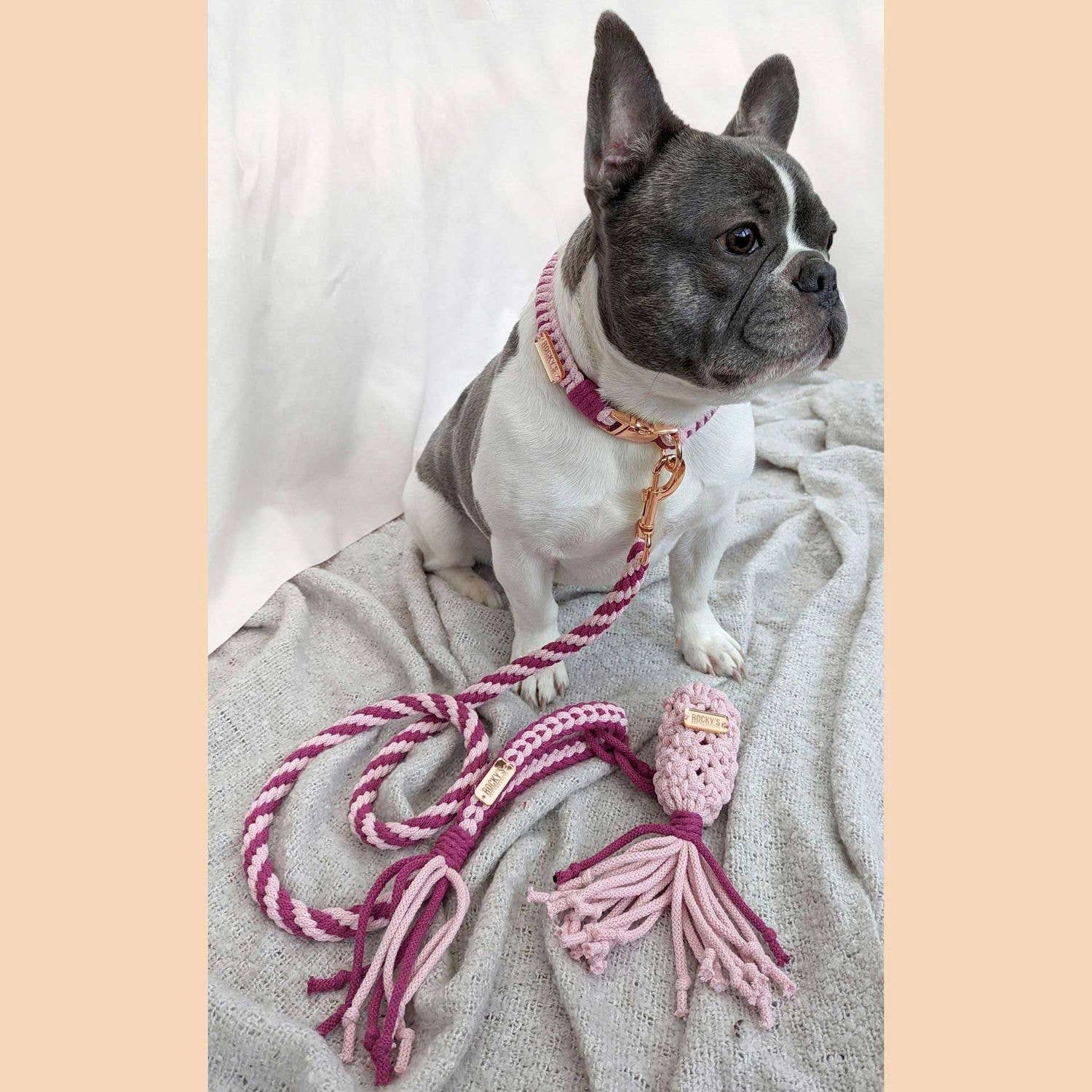 Make Your Own Dog Lead Craft Kit Pink