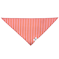 Dog wearing a rufflifepals orange and pink striped bandana in a casual lifestyle setting.