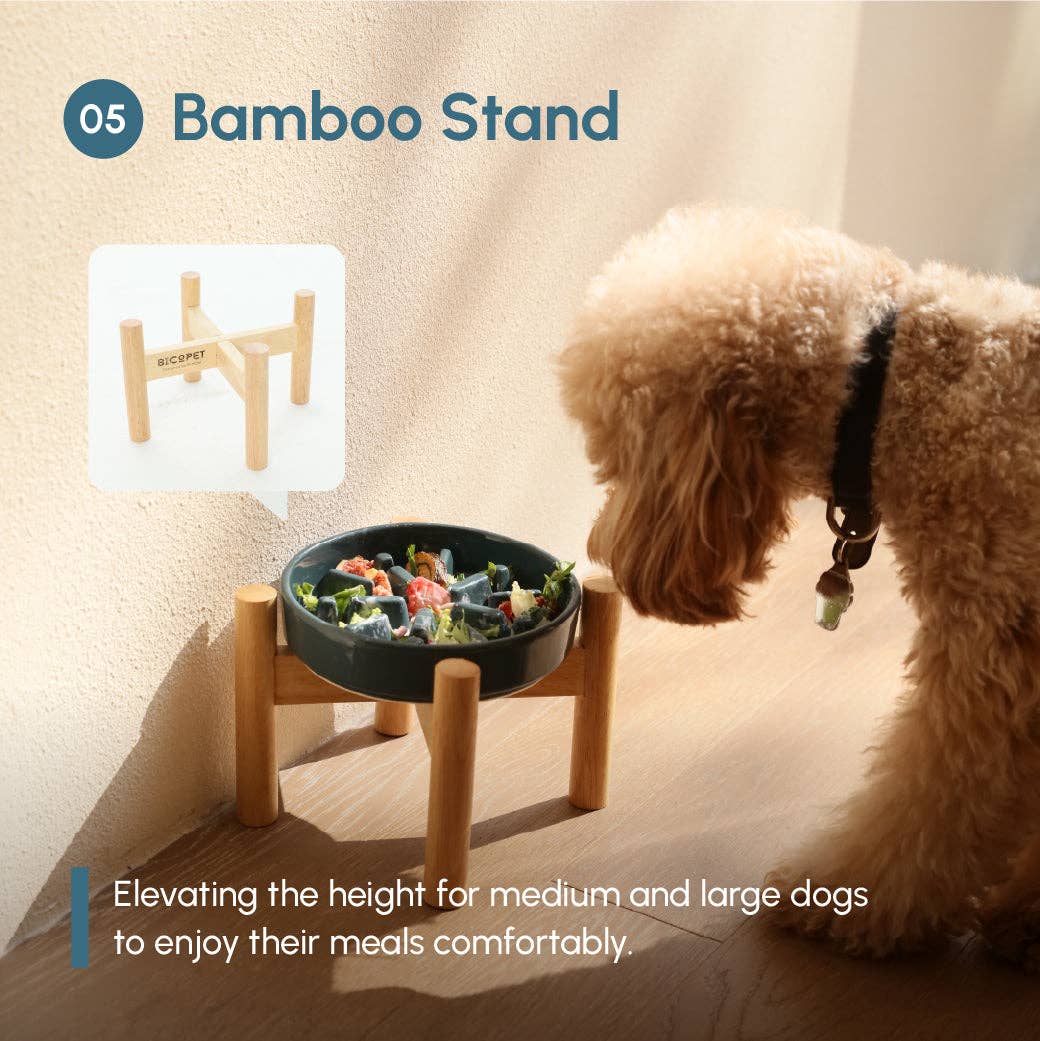 Pehom Spark slow feeder bowl shown from an alternate angle highlighting its textured feeding surface design.