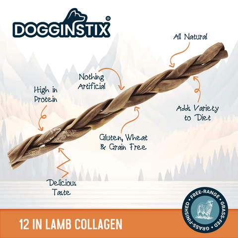 Close-up detail of Dogginstix 12-inch braided lamb collagen sticks showing texture and braid pattern.