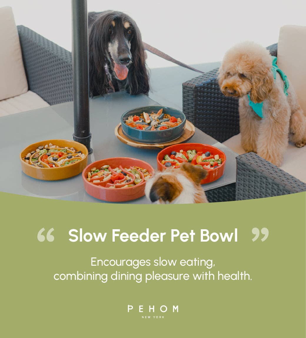 Pehom Spark slow feeder bowl shown from an alternate angle highlighting its unique design details.