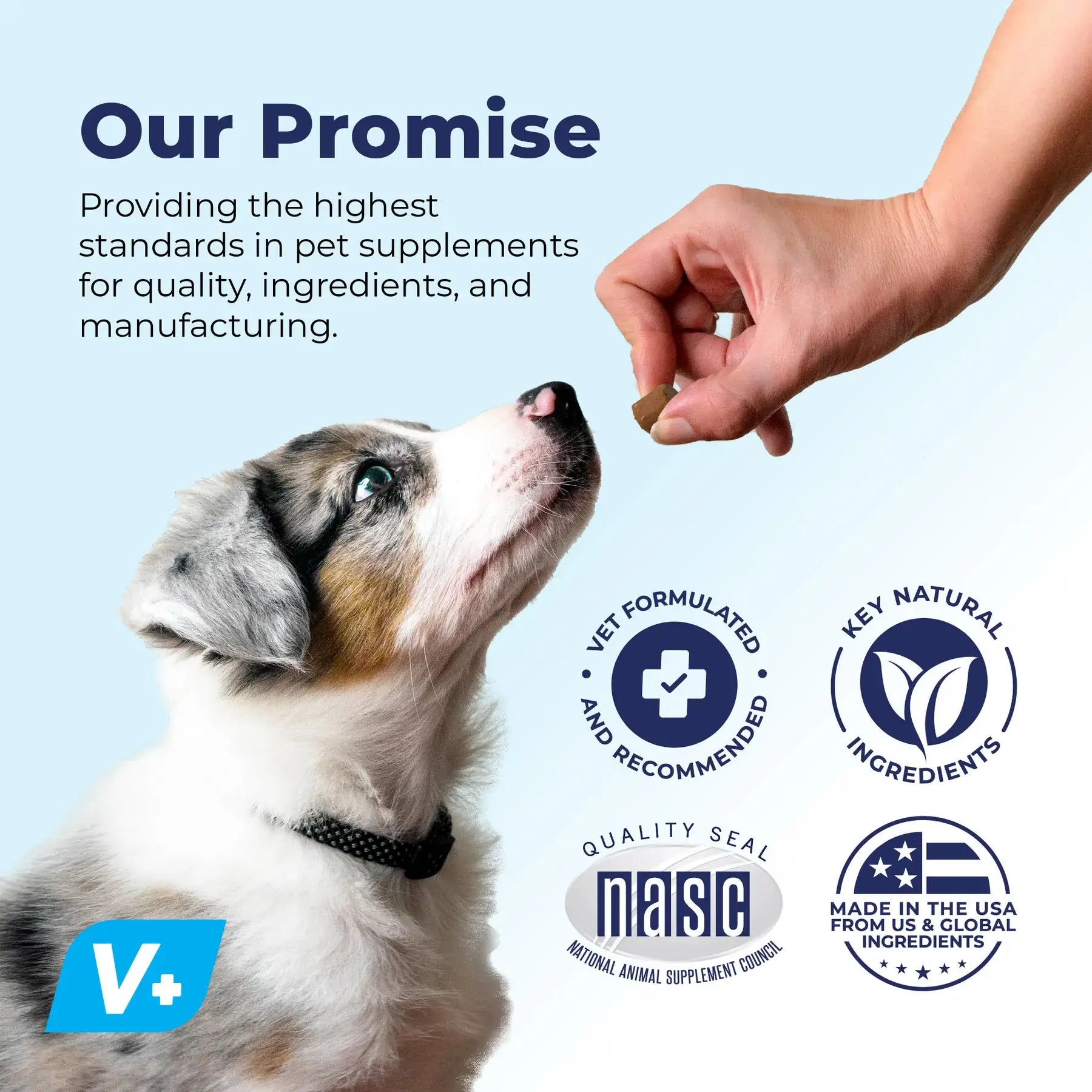 Glandex | Vet Strength | Duck & Bacon Soft Chew 30ct