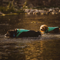 Carolina Pet Company Body Glove neoprene pet life jacket shown from an alternate angle highlighting fit and design.
