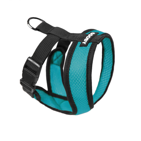 Gooby | Comfort X Head-In Harness | Turquoise