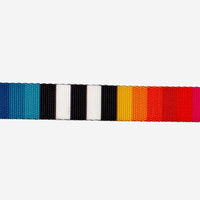 Zee.Dog Prisma collar displayed as the final product view highlighting its vibrant multicolor design.