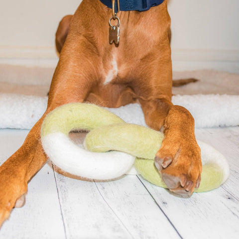 Awoo | Wool Link | Ombre