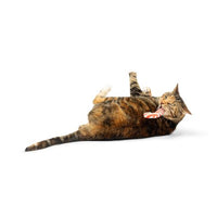 Huxley & Kent Candy Cane Nipper cat toy shown in use or from an alternate lifestyle angle.