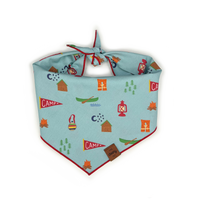 Summer Camp Pet Bandana