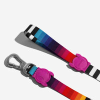 Zee.Dog | Leash | Prisma