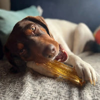 Mighty Marrows Dental Chew | Pork & Parsley