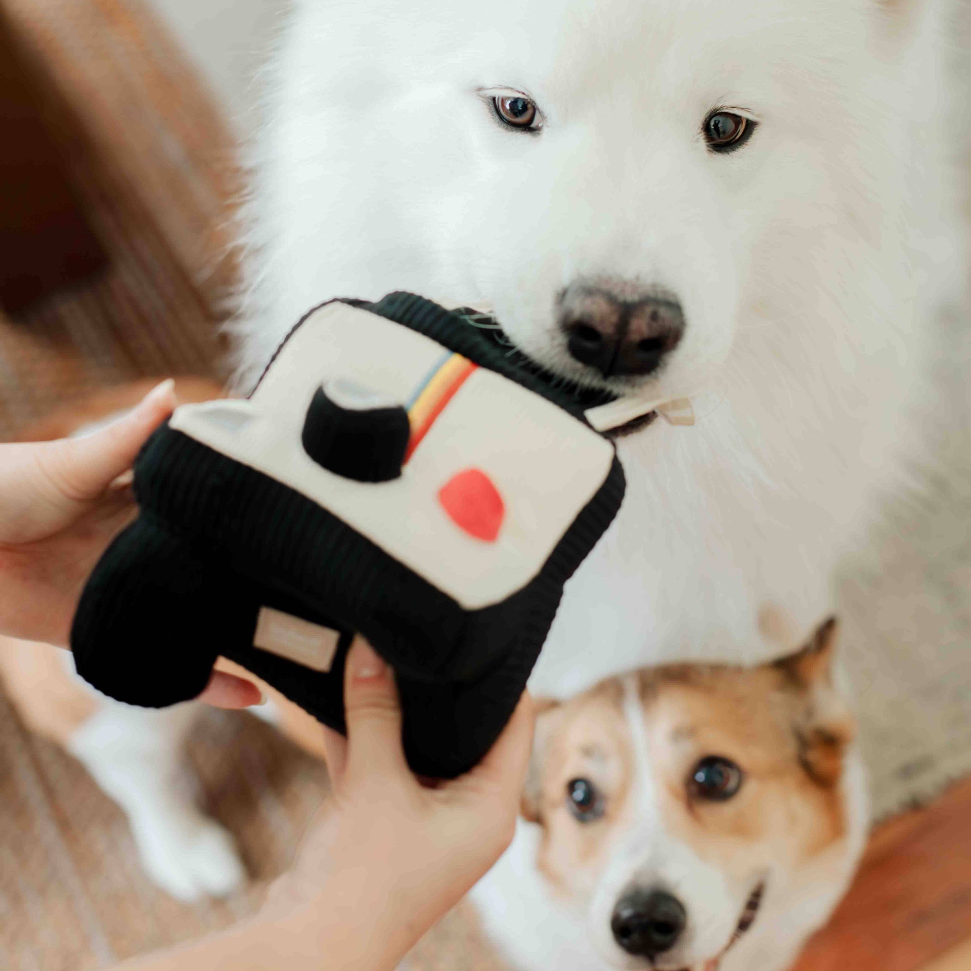 Lambwolf Collective Instant Camera enrichment toy showing detailed stitching and plush fabric construction close-up view.