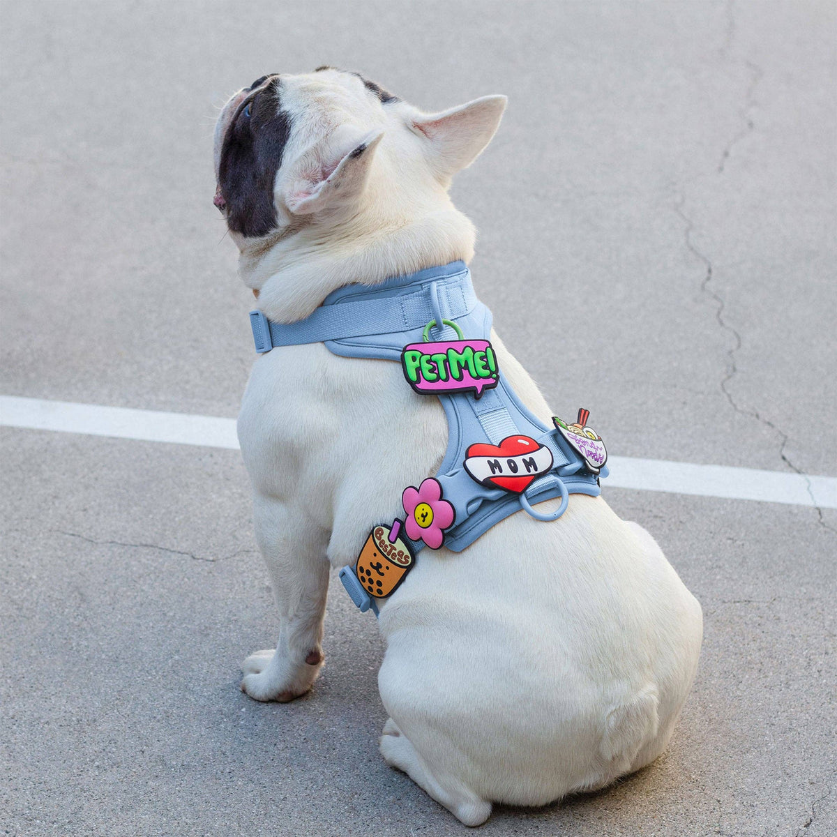 Jiby Dog Crew Mom Tattoo dog charm shown from an alternate angle highlighting its detailed design.