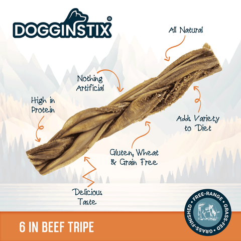 Close-up detail of Dogginstix 6-inch braided beef tripe sticks showing twisted texture and natural coloring.