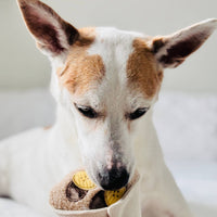 Lambwolf CREPE Enrichment Toy showing textured plush fabric details and interactive elements for dogs.