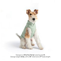 Gooby Everyday Fleece Vest shown on a small dog in a cozy lifestyle setting.