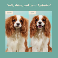 Petora | Rice Water Paw & Facial Shampoo