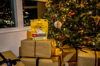 Polkadog | Sugar & Spice Holiday Treat