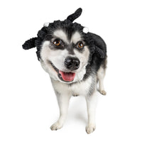 Orca Dog Snood