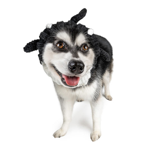 Orca Dog Snood