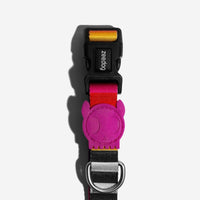 Zee.Dog Prisma collar displayed at an angle highlighting its colorful geometric pattern and metal hardware.