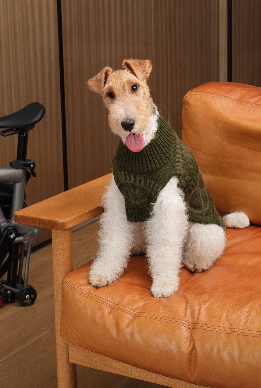 Pehom Pretzel Sweater dog apparel shown from a unique angle highlighting fit and texture details.
