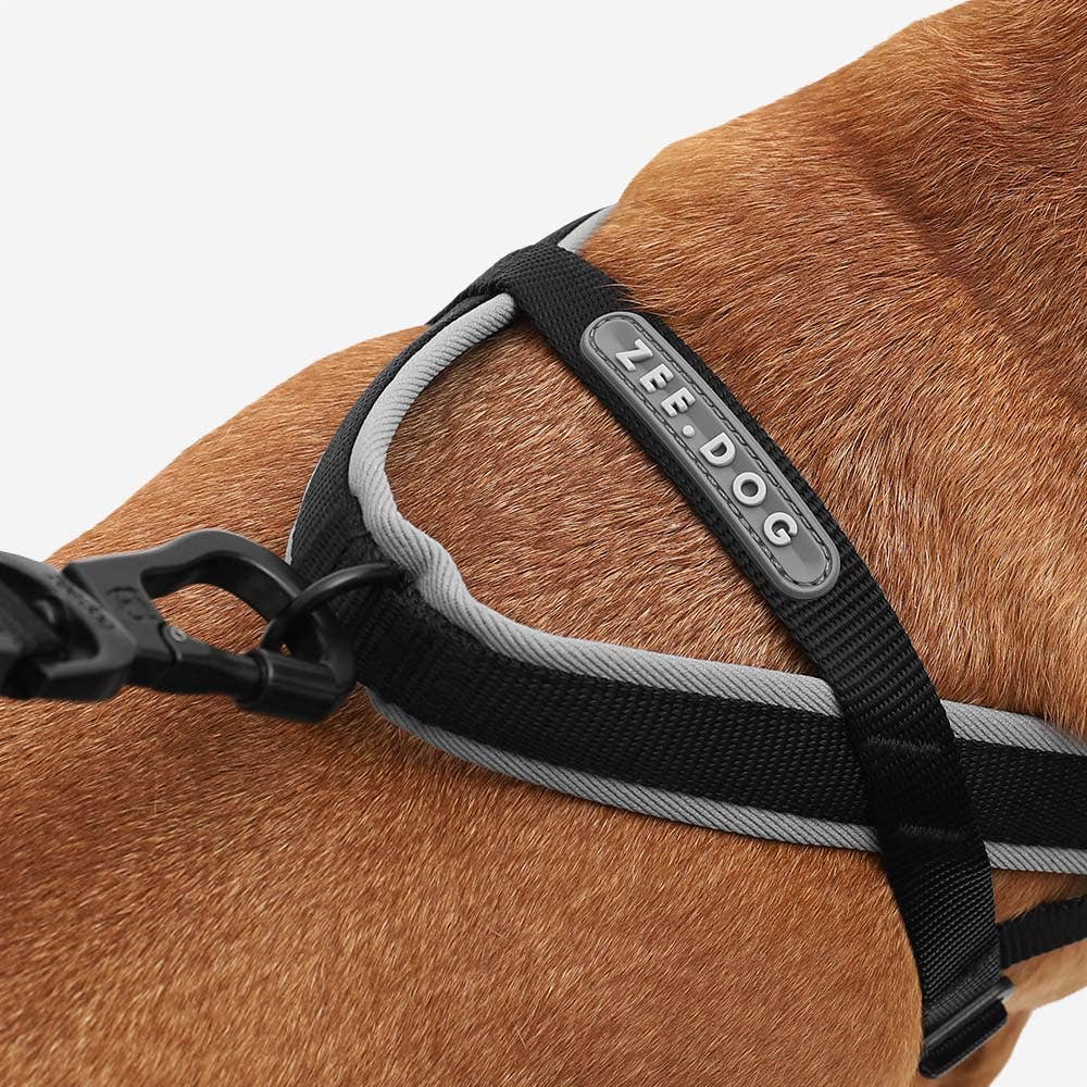 Zee.Dog SofterWalk Harness in Gotham colorway shown from an additional angle highlighting design details.